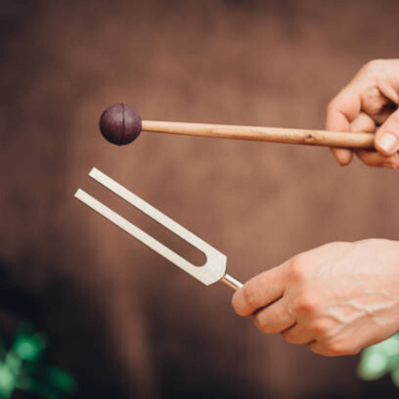 Purelief™ Wholeness Bundle