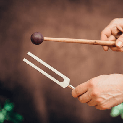 Purelief™ Wholeness Bundle